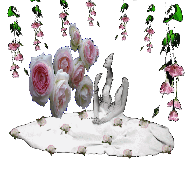 一曲《爱如情歌》好美!好美!