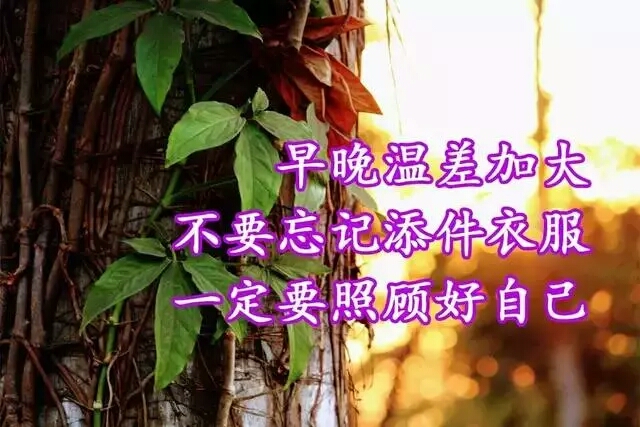 早上好,一曲《天冷了,别冻着》送给你,注意添衣,愿你