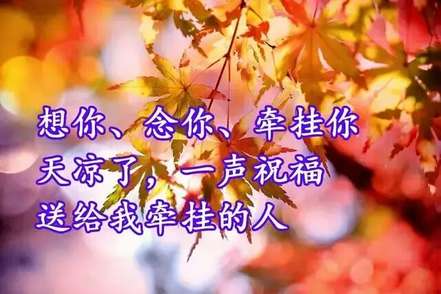 早上好,一曲《天冷了,别冻着》送给你,注意添衣,愿你