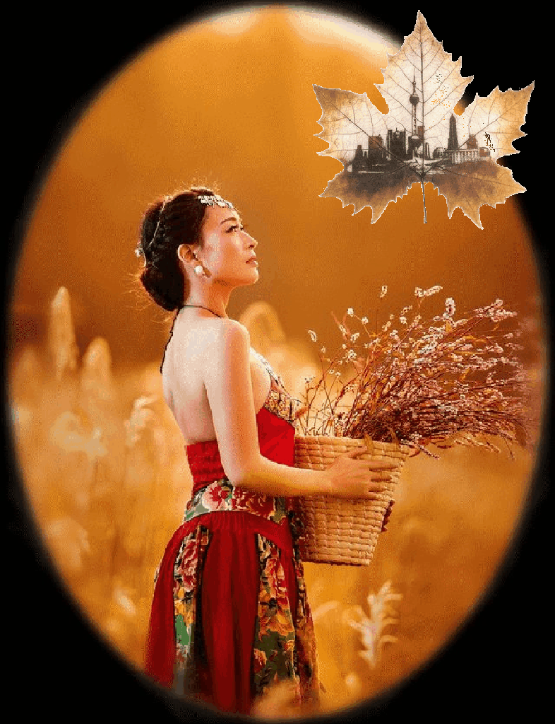 花开花落,我只在乎你★秋叶如花★我怎能不在意!