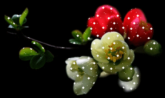 满天飞雪的思恋! / 查查362